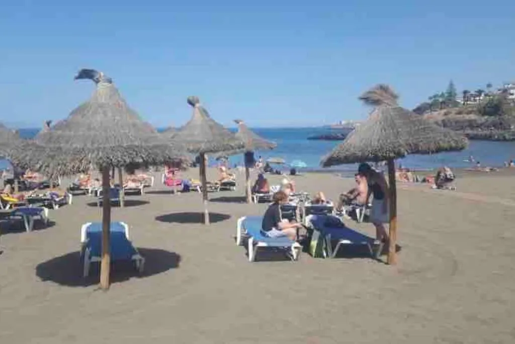 Apartment Garden City - Olympus Garden Playa Fanabe
